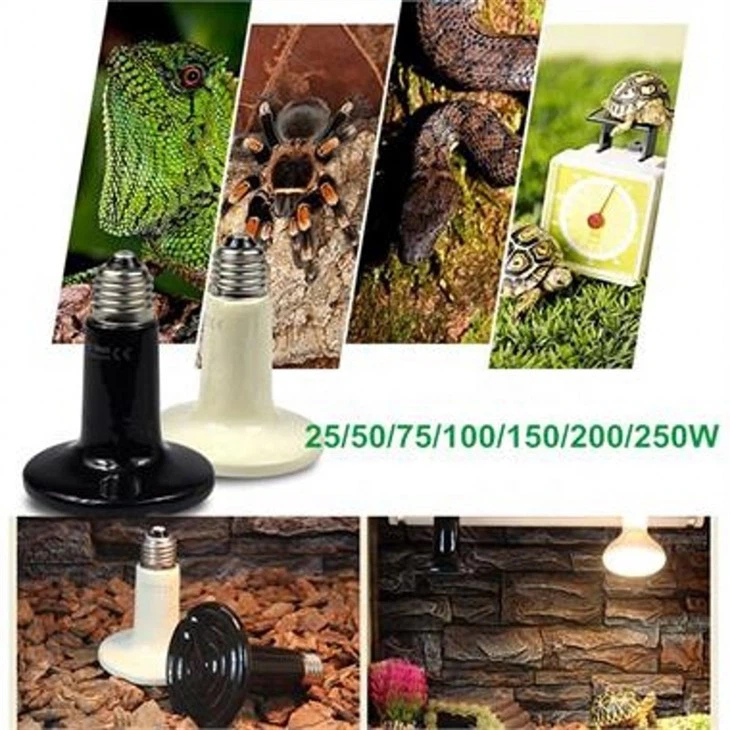 100w Reptile Ceramic Heat Bulbs 100w Reptile Ceramic Heat Bulbs
