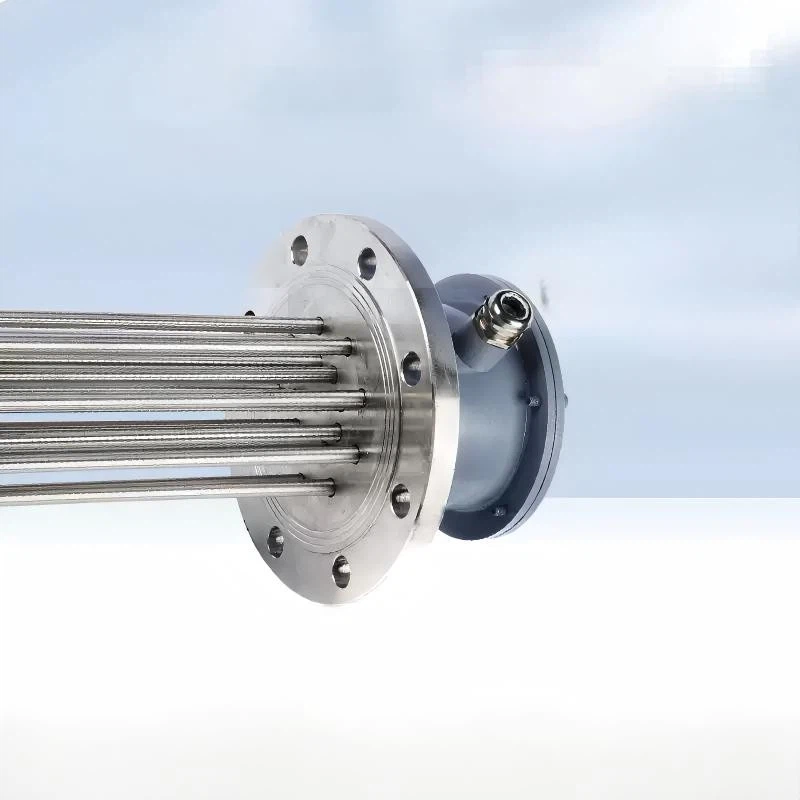 flange immersion heater 9